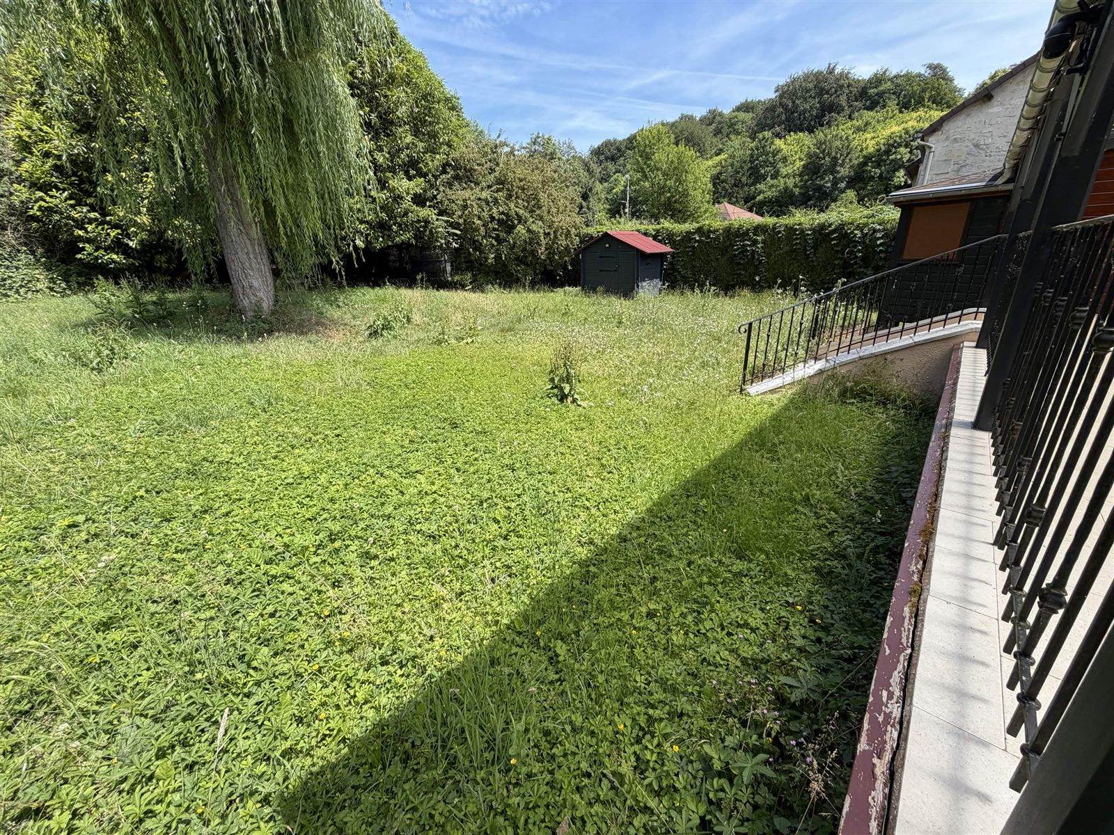 Jardin avec végétation haute avant la remise en état