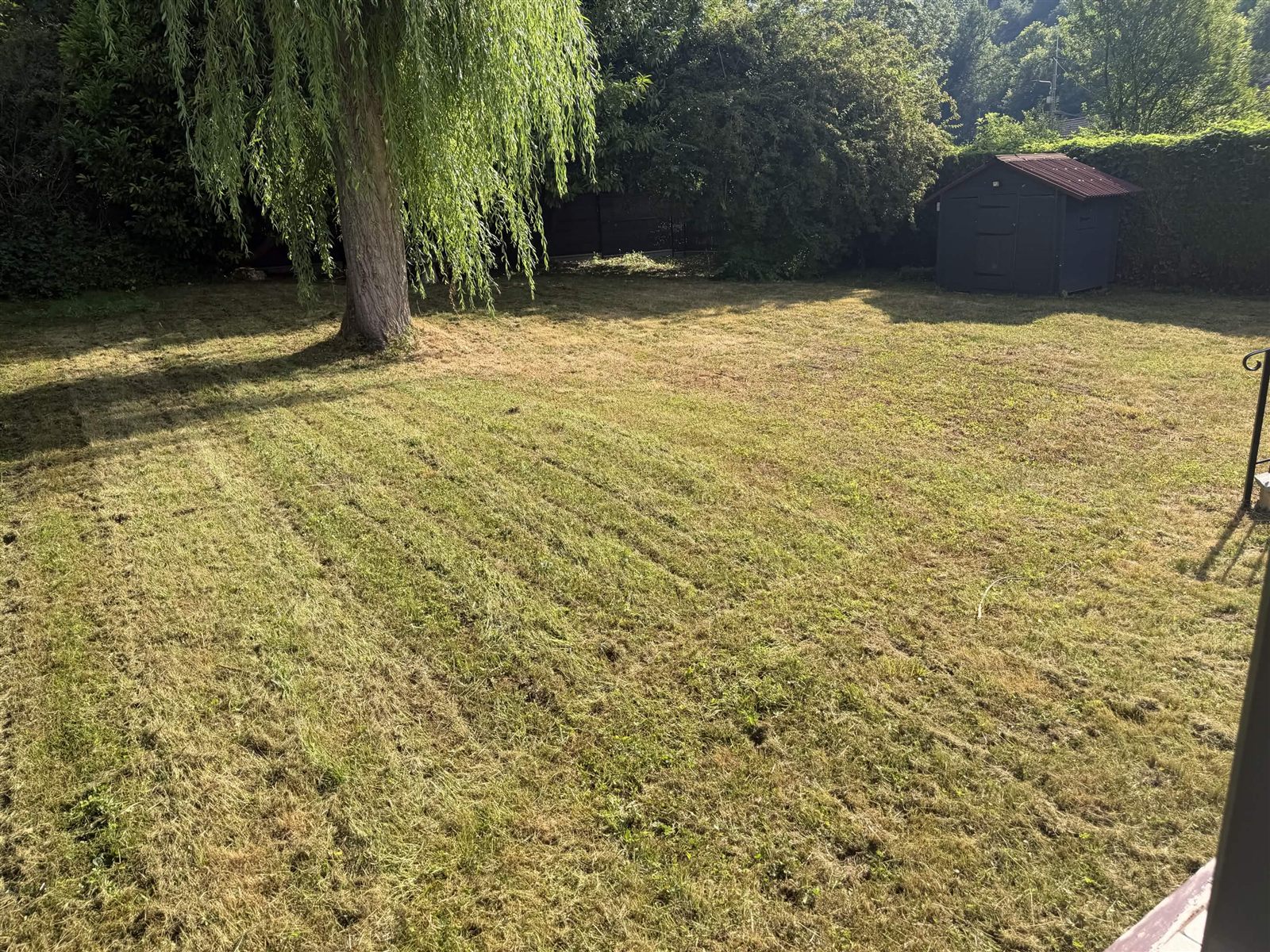 Grand jardin entièrement tondu après intervention